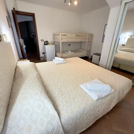 B&B Chorisia-2